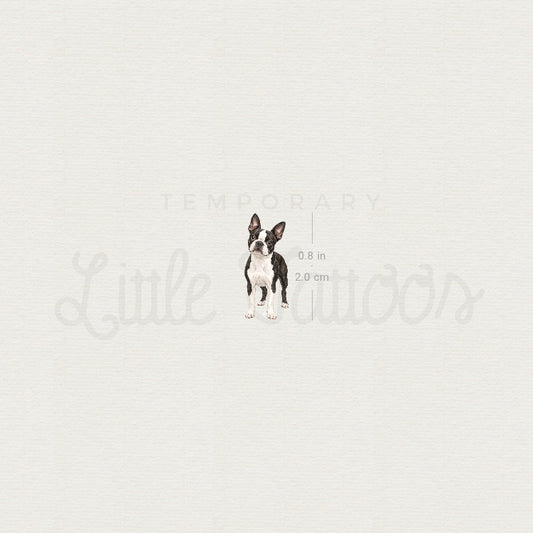 Realistic Boston Terrier Temporary Tattoo - Set of 3