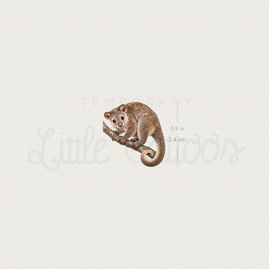 Cuscus Temporary Tattoo - Set of 3