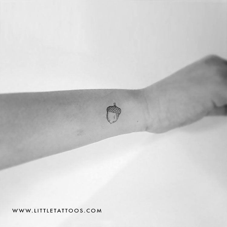 Tatuaje temporal de bellota - Juego de 3