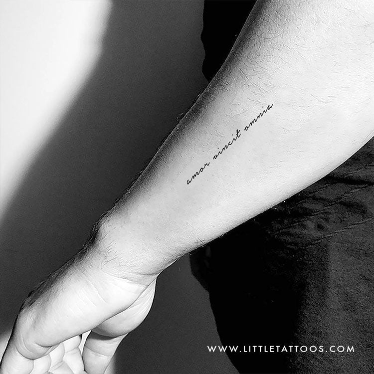 Tatuaje temporal Amor Vincit Omnia - Juego de 3
