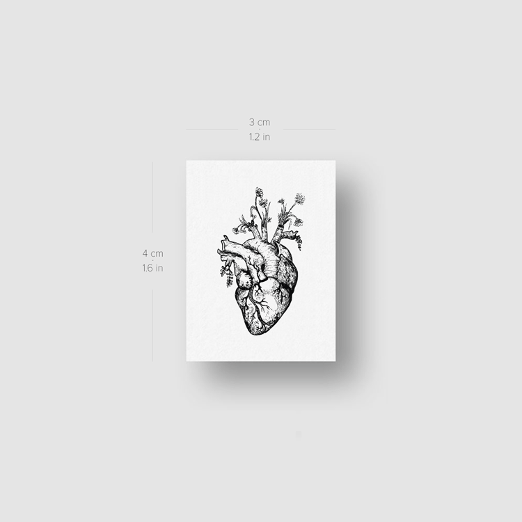 Tatuaje temporal de corazón anatómico floral (juego de 3)
