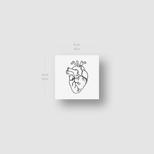 Anatomical Heart Outline Temporary Tattoo - Set of 3
