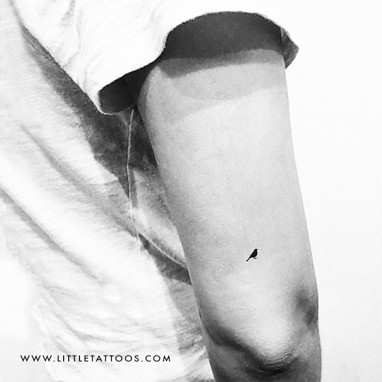 Tiny Bird Standing Temporary Tattoo - Set of 3
