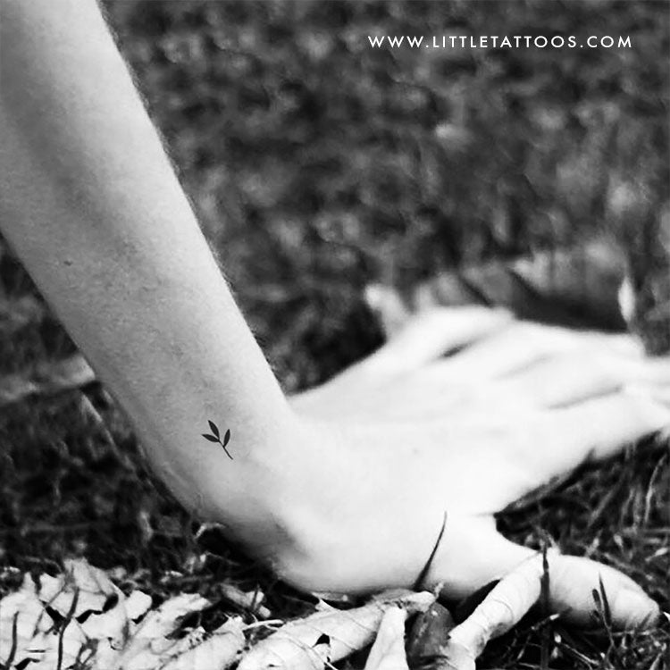 Tiny Minimalist Sprout Temporary Tattoo - Set of 3