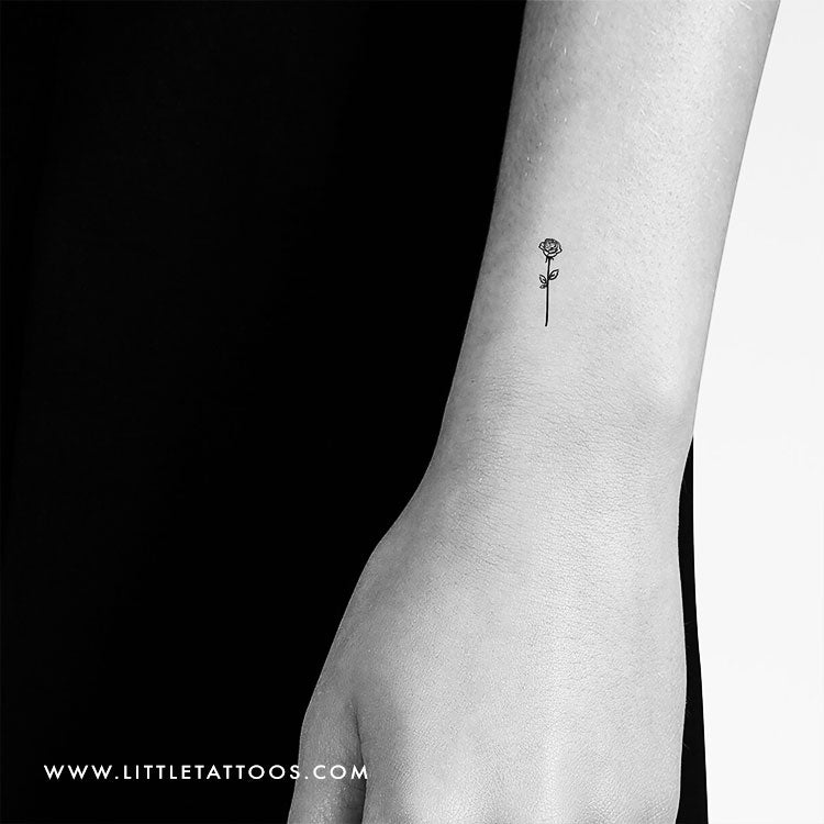 Tatuaje temporal de contorno de rosa negra (juego de 3)