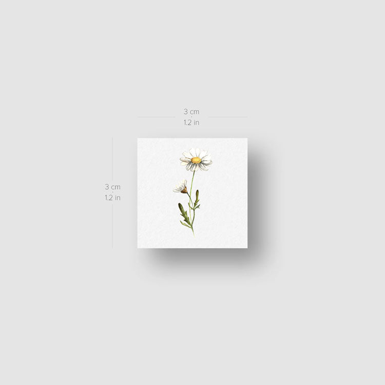 Daisy Temporary Tattoo by Lena - Set of 3